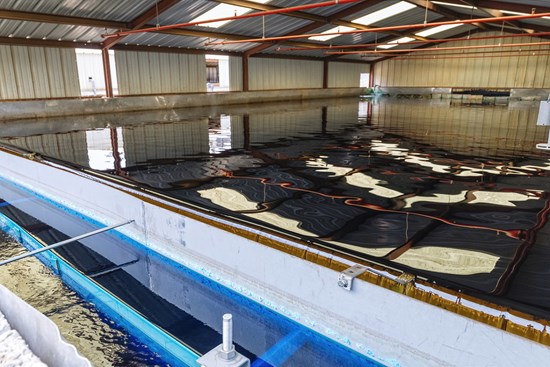 Cannot view this image? Visit: https://images.newsfilecorp.com/files/2744/264914_1b943e73f4d98bf3_007.jpg